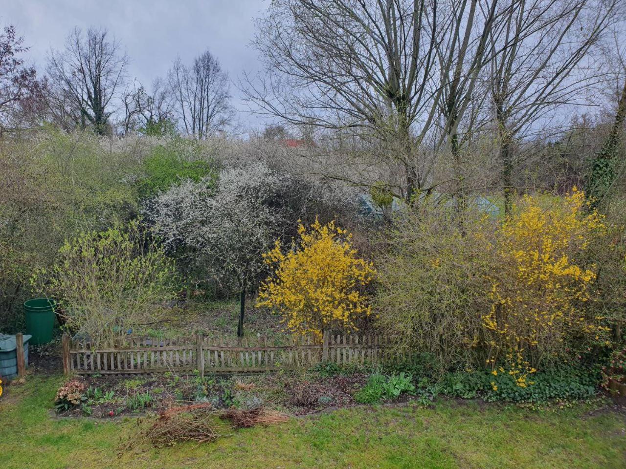 Gemuetliche Ferienwohnung Potsdam Luaran gambar